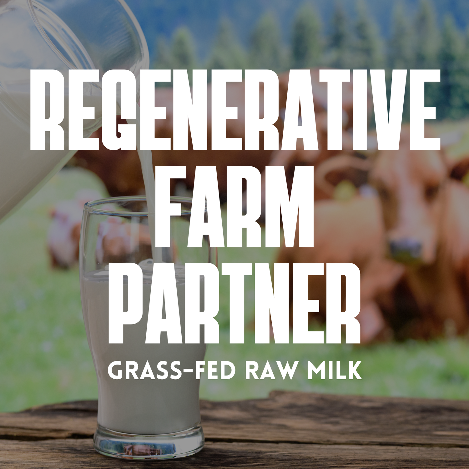 The Regenerative Farm Partner: (Grass-Fed Raw Milk)