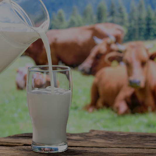 Grass-Fed Raw Milk Pet Treat (Gallon)